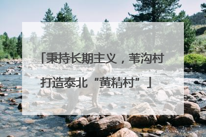 秉持长期主义，苇沟村打造泰北“黄精村”