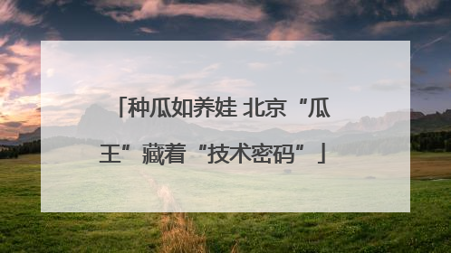 种瓜如养娃 北京“瓜王”藏着“技术密码”