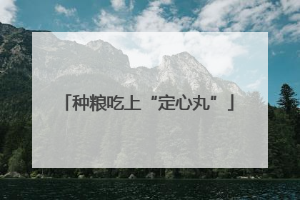 种粮吃上“定心丸”