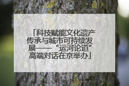 科技赋能文化遗产传承与城市可持续发展——“运河论道”高端对话在京举办
