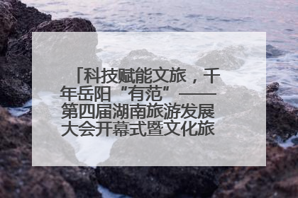 科技赋能文旅，千年岳阳“有范”——第四届湖南旅游发展大会开幕式暨文化旅游推介会侧记