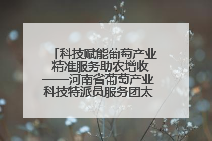 科技赋能葡萄产业 精准服务助农增收——河南省葡萄产业科技特派员服务团太康县科技服务纪实