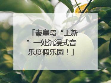 秦皇岛“上新”一处沉浸式音乐度假乐园！