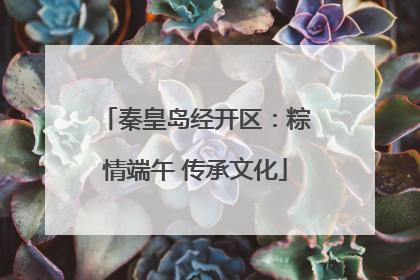 秦皇岛经开区：粽情端午 传承文化