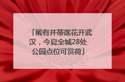 稀有并蒂莲花开武汉，今夏全城28处公园点位可赏荷