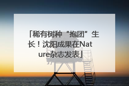 稀有树种“抱团”生长！沈阳成果在Nature杂志发表