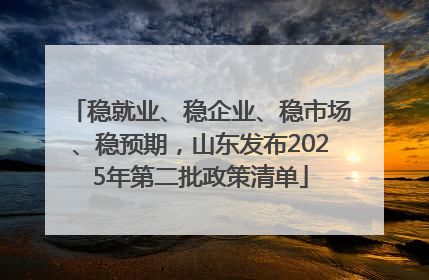 稳就业、稳企业、稳市场、稳预期，山东发布2025年第二批政策清单