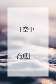 空中育瓜