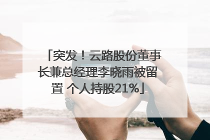 突发！云路股份董事长兼总经理李晓雨被留置 个人持股21%