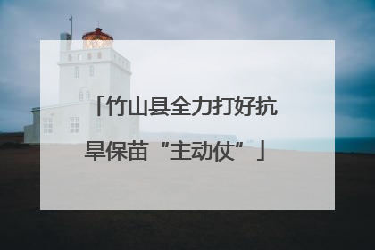 竹山县全力打好抗旱保苗“主动仗”