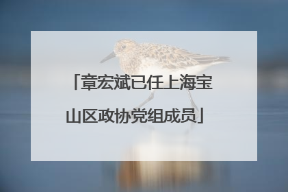 章宏斌已任上海宝山区政协党组成员