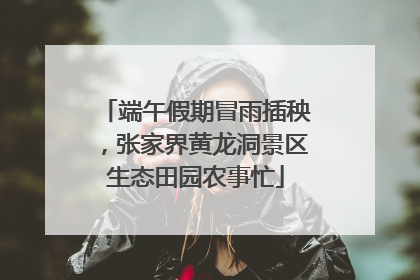 端午假期冒雨插秧，张家界黄龙洞景区生态田园农事忙