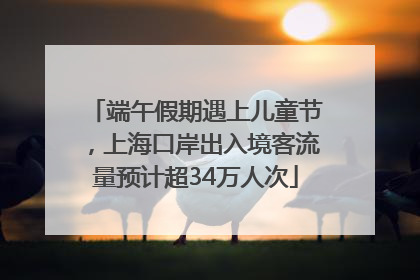 端午假期遇上儿童节，上海口岸出入境客流量预计超34万人次
