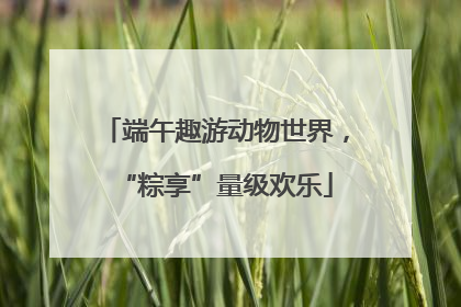 端午趣游动物世界，“粽享”量级欢乐