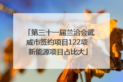 第三十一届兰洽会武威市签约项目122项 新能源项目占比大