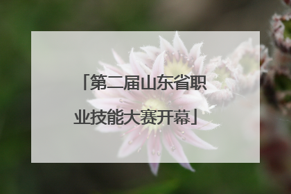 第二届山东省职业技能大赛开幕