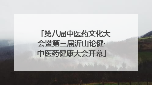 第八届中医药文化大会暨第三届沂山论健·中医药健康大会开幕