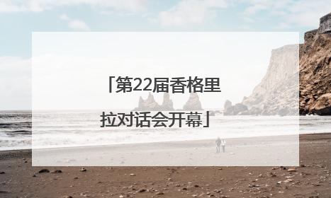 第22届香格里拉对话会开幕