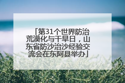 第31个世界防治荒漠化与干旱日，山东省防沙治沙经验交流会在东阿县举办