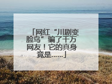 网红“川剧变脸鸟”骗了千万网友！它的真身竟是……