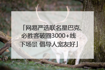 网易严选联名星巴克、必胜客破圈3000+线下场景 倡导人宠友好
