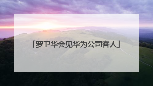 罗卫华会见华为公司客人
