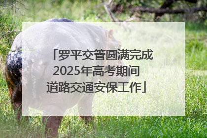 罗平交管圆满完成2025年高考期间道路交通安保工作