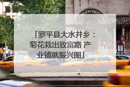 罗平县大水井乡：菊花栽出致富路 产业铺就振兴图
