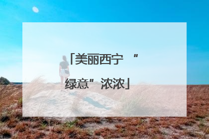 美丽西宁 “绿意”浓浓