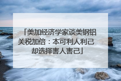 美加经济学家谈美钢铝关税加倍：本可利人利己 却选择害人害己