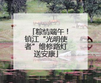 粽情端午！镇江“光明使者”维修路灯送安康