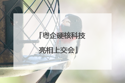 粤企硬核科技亮相上交会
