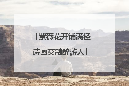 紫薇花开铺满径 诗画交融醉游人