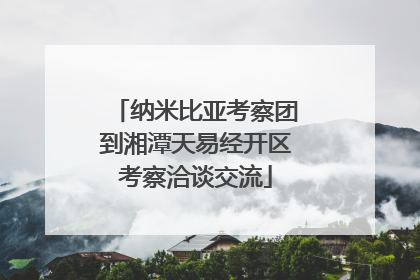 纳米比亚考察团到湘潭天易经开区考察洽谈交流