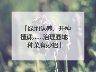 绿地认养、开种植课……治理圈地种菜有妙招