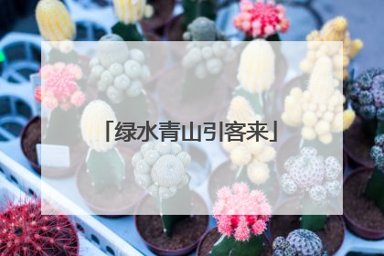 绿水青山引客来