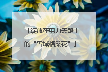 绽放在电力天路上的“雪域格桑花”