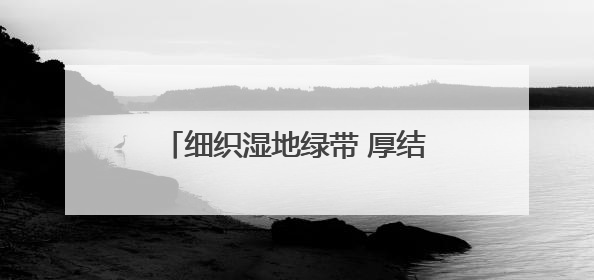 细织湿地绿带 厚结“文旅明珠”——中法武汉生态示范城挖掘绿色发展新动能