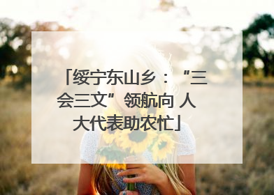 绥宁东山乡：“三会三文”领航向 人大代表助农忙