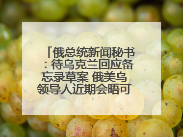 俄总统新闻秘书：待乌克兰回应备忘录草案 俄美乌领导人近期会晤可能性小