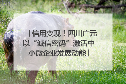 信用变现！四川广元以“诚信密码”激活中小微企业发展动能