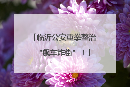 临沂公安重拳整治“飙车炸街”！