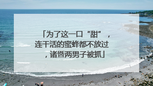 为了这一口“甜”，连干活的蜜蜂都不放过，诸暨两男子被抓