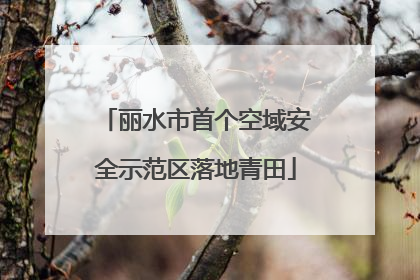 丽水市首个空域安全示范区落地青田