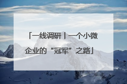 一线调研丨一个小微企业的“冠军”之路