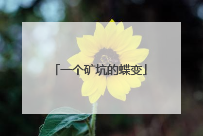 一个矿坑的蝶变