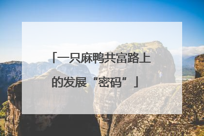 一只麻鸭共富路上的发展“密码”