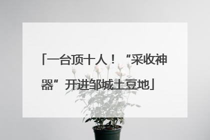 一台顶十人！“采收神器”开进邹城土豆地