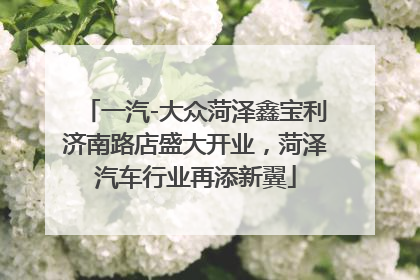 一汽-大众菏泽鑫宝利济南路店盛大开业，菏泽汽车行业再添新翼