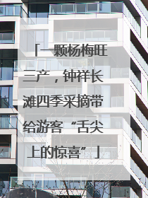 一颗杨梅旺三产，钟祥长滩四季采摘带给游客“舌尖上的惊喜”
